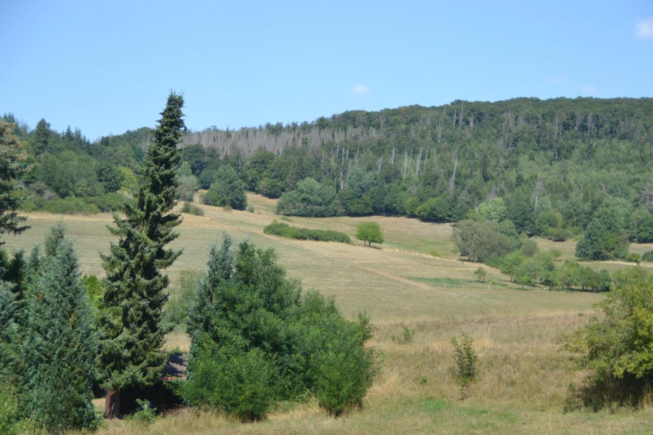 Frankenau Fewo Kellerwald Exteriör bild